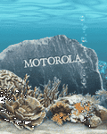 pic for Motorola Tank